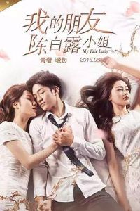 �ҵ����ѳ°�¶С��