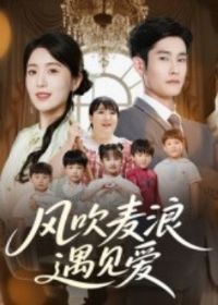 �紵����������