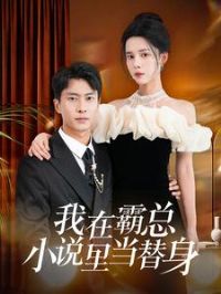 ���ڰ���С˵�ﵱ����