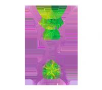 �������ޱ� �й�̨��vs������20250810