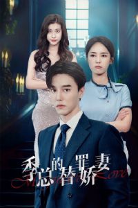 ���ܵ����ｿ��