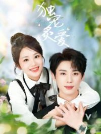 �����˰�