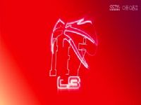 CBA��������8�� �ൺ������ҩVS�������� 20241028