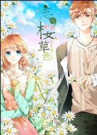 ��ӣ��ɫ ��̬����